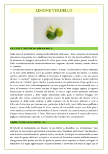 Limone verdello