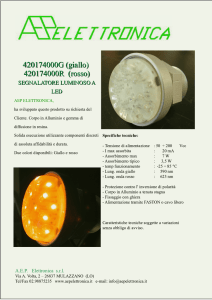 420174000G (giallo) 420174000R (rosso)