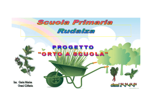ORTO A SCUOLA - sito - Direzione Didattica 1° Circolo Olbia