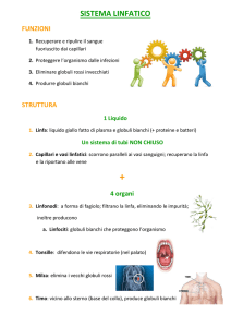 sistema linfatico - "G. Segantini" Asso