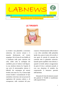 le tiroiditi - Centro Diagnostico Gamma