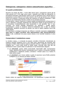 Osteoporosi, osteopenia e dolore osteoarticolare