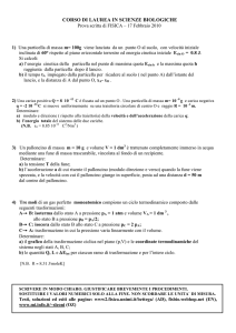 Testo e soluzione