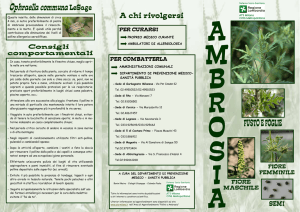Brochure informativa