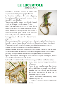 Lucertola - DigiScuola
