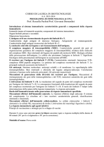Programma del corso File - e
