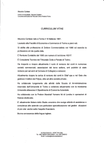 CURRICULUM VITAE società commerciali