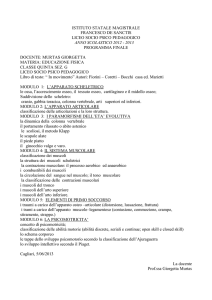 Educazione Fisica 5G 2013 - Liceo "De Sanctis"