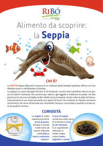 Scopri la seppia