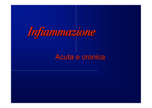 4 lezione pat. gen.