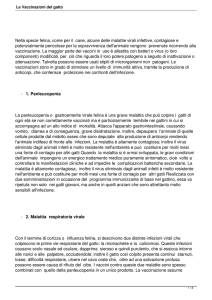 Le Vaccinazioni del gatto