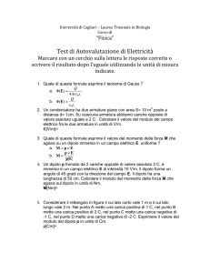 Test di Autovalutazione di Elettricità