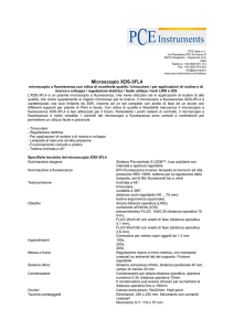 Datasheet Microscopio XDS-3FL4