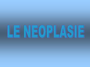 Diapositiva 1