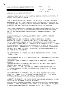 consulenza Squicciarini