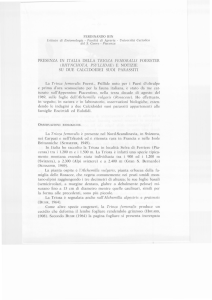 Scarica questo file PDF