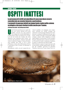 NATURA/Rettili - Corpo Forestale dello Stato