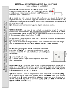 testo e soluzione