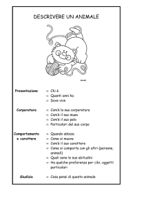 Descrivere un animale: Schema per bambini