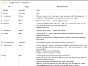 Diapositiva 1