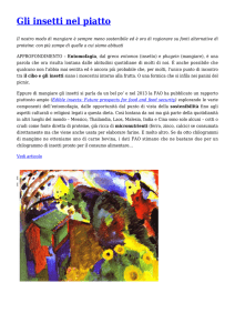 Gli insetti nel piatto