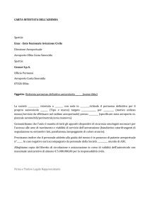 Allegato 13