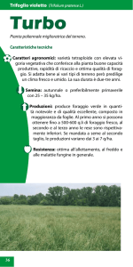 Pianta poliennale miglioratrice del terreno. Caratteristiche tecniche