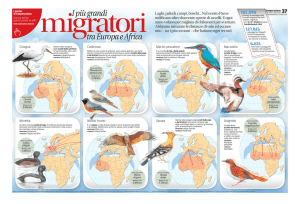 I più grandi tra Europa e Africa