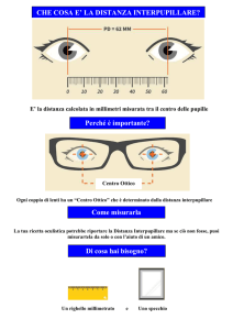 CHE COSA E` LA DISTANZA INTERPUPILLARE? Perché è