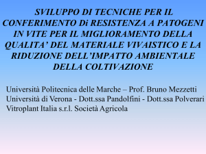 MIGLIORAMENTO GENETICO DEL PESCO E BIOTECNOLOGIE