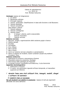 3B odontotecnico Anatomia Prof. Rosalia Spallina - IIS Severi