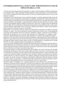 CONSIDERAZIONI SULLA SCELTA DEL PORTINNESTO IN FASE