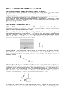 testo e soluzione