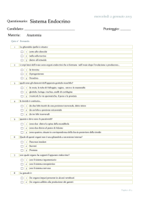 Sistema Endocrino