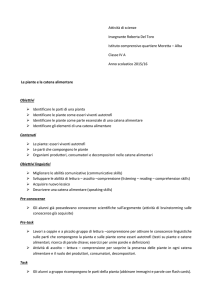 Attività di scienze Insegnante Roberta Del Toro Istituto comprensivo