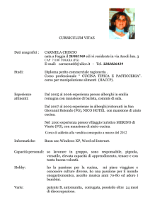 Capacità personali: so lavorare in gruppo, sono responsabile