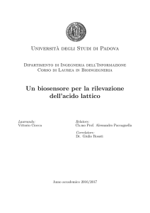 Documento PDF