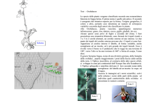 test fascia 12-15