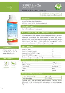 Catalogo Affin Mn-Zn