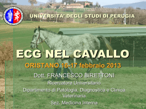 Diapositiva 1 - Ordine Dei Medici Veterinari Della Provincia Di