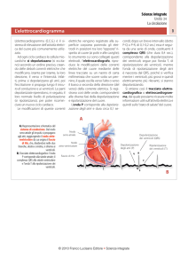 L`elettrocardiogramma - Zanichelli online per la scuola