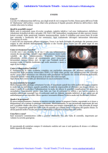 scarica scheda informativa - Ambulatorio Veterinario Trionfo