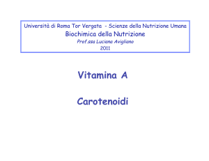 Vitamina A Carotenoidi
