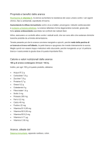 Proprietà e benefici delle arance Calorie e valori nutrizionali delle