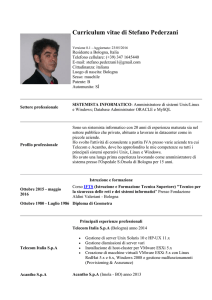 Curriculum Vitae di Stefano Pederzani