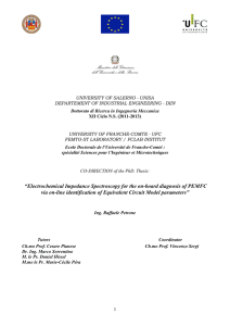 Electrochemical Impedance Spectroscopy for the on