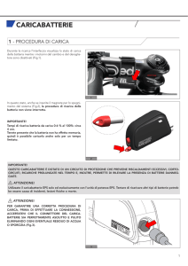 Caricabatteria gruppo elettronico EPS - Power Unit