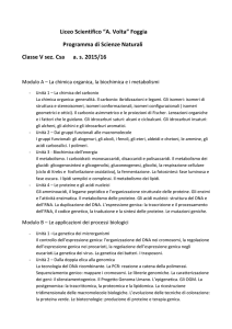 scienze - Liceo Scientifico A. Volta – Foggia