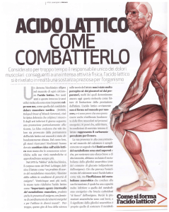 acido lattico - Giovane Ancona