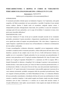 pericardiectomia e biopsia in corso di versamento pericardico da